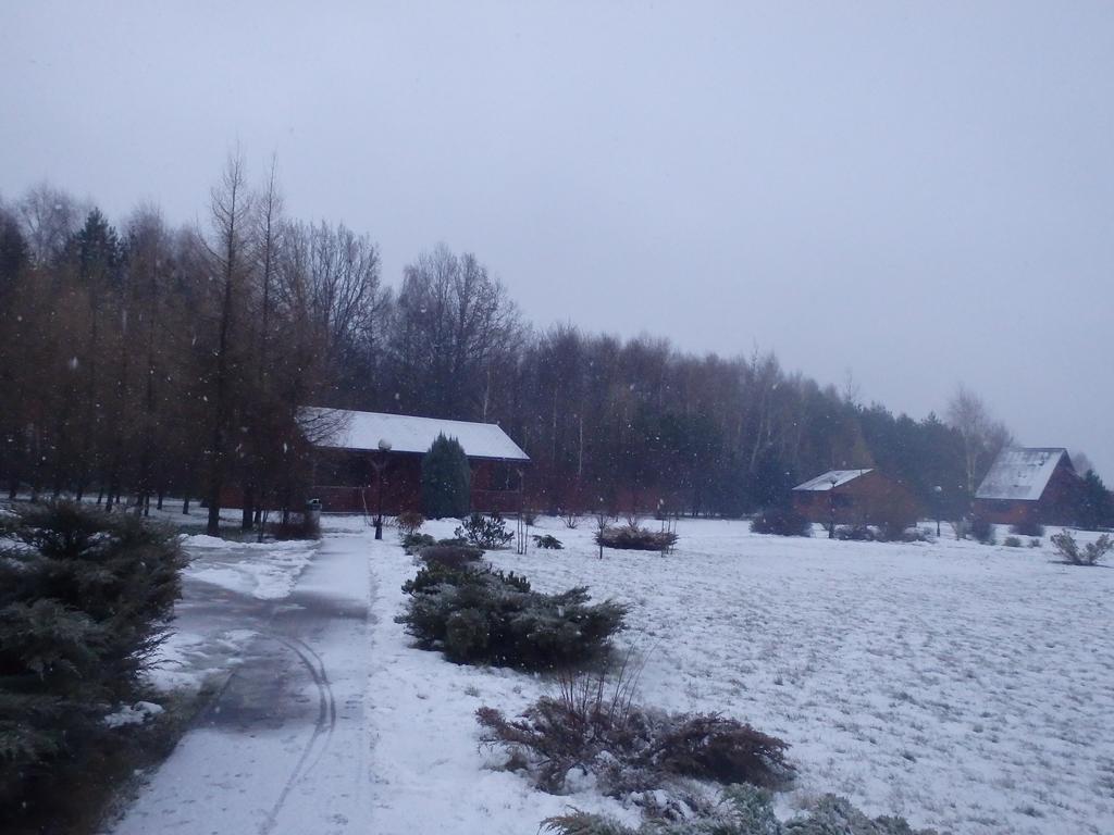 Villa Osrodek Marynka Wolka Cycowska Exterior foto